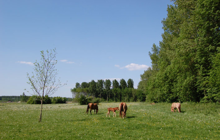 news_047_beeld01